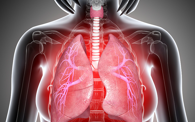 유방/갑상선 클리닉